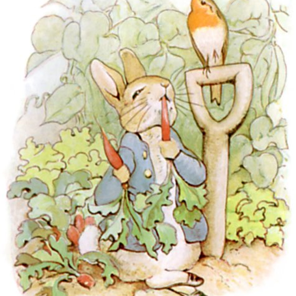 The Tale of Peter Rabbit — children's audio story for ages 3-5
